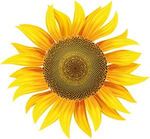 Goriško društvo za osteoporozo Nova Gorica